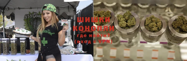 гидропоника Бородино