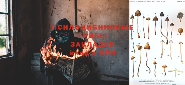 apvp Бугульма