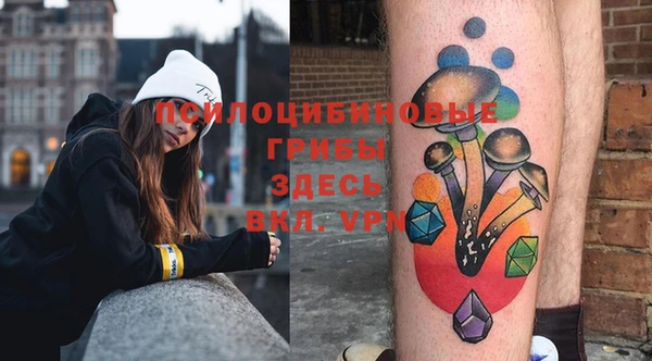 PSILOCYBIN Бронницы