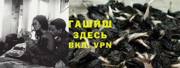 PSILOCYBIN Бронницы