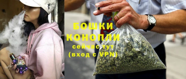 гидропоника Бородино