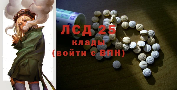 гидропоника Бородино